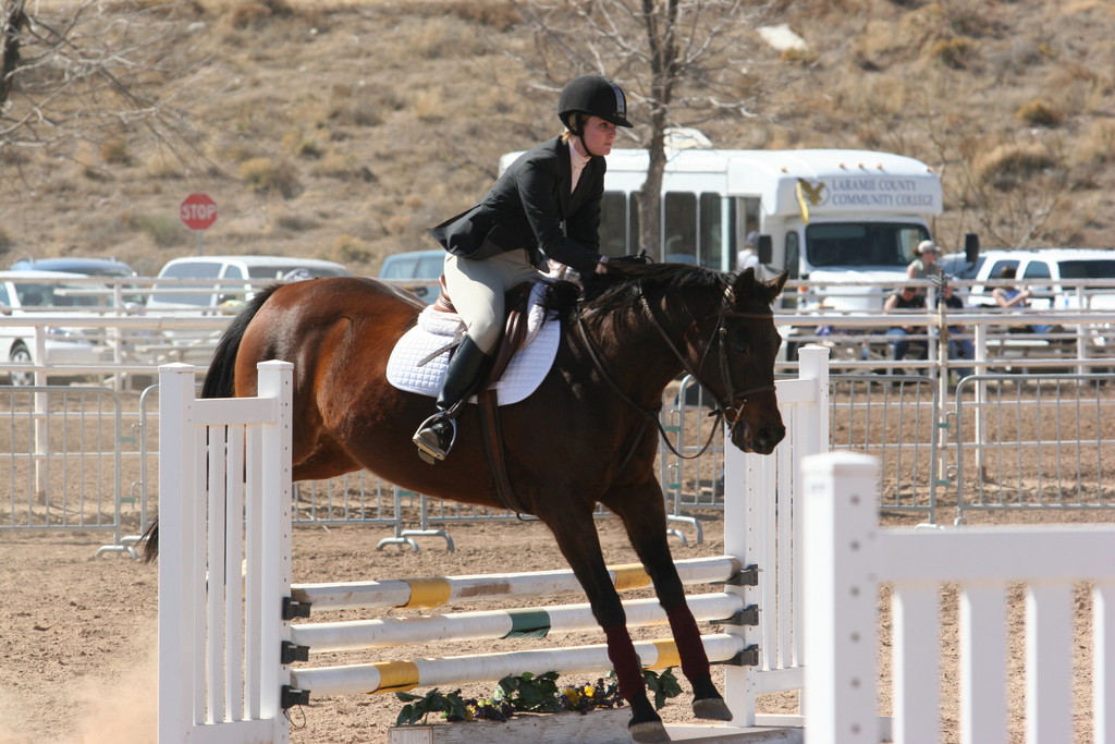 alex/nmsu_d1_fence/nmsu_fence_d1_0064.jpg