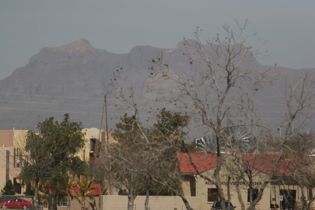 alex/nmsu_d1_flat/nmsu_flat_d1_0010.jpg
