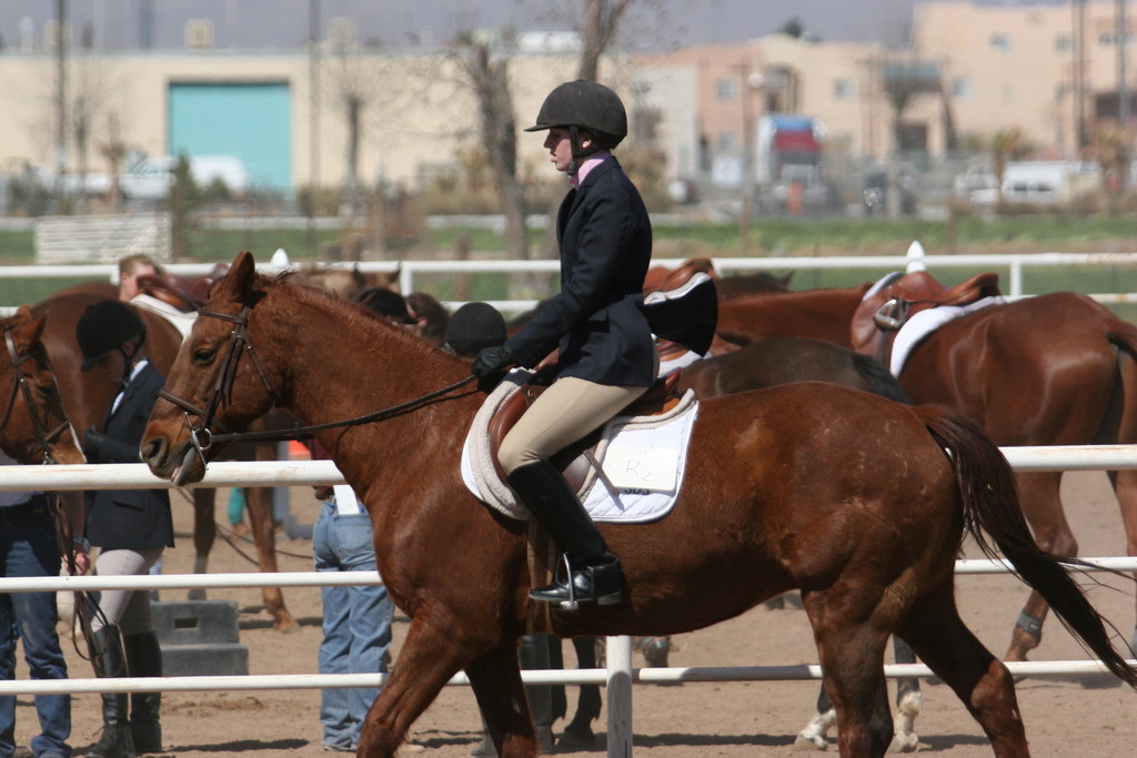 alex/nmsu_d1_flat/nmsu_flat_d1_0049.jpg
