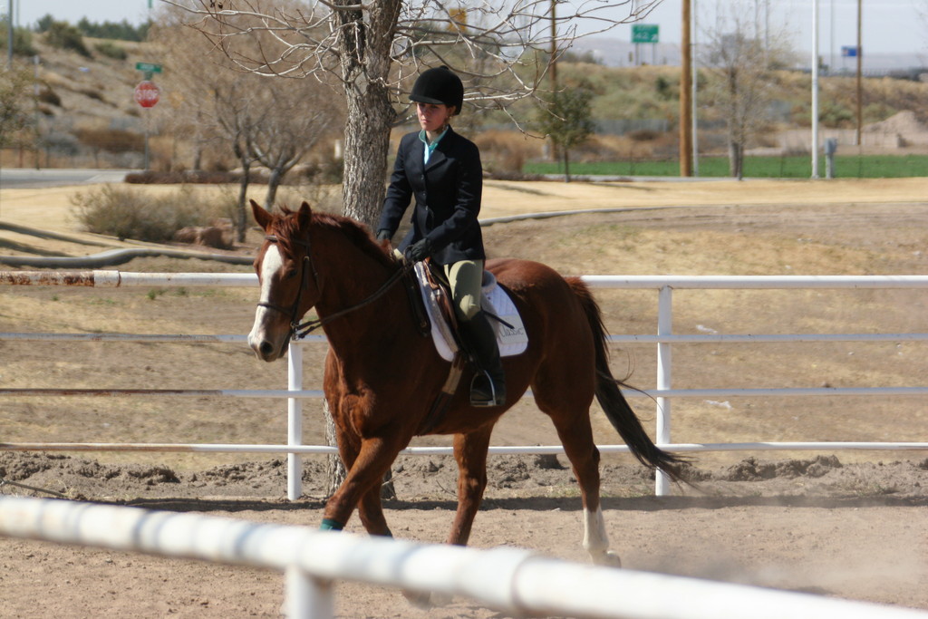 alex/nmsu_d1_flat/nmsu_flat_d1_0077.jpg