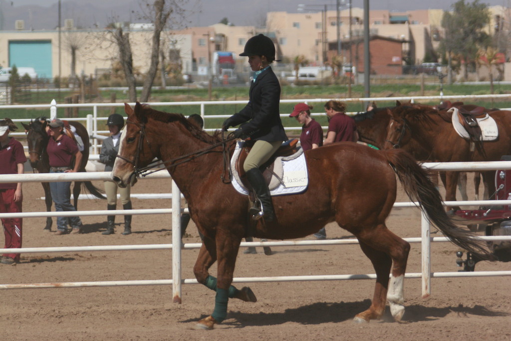 alex/nmsu_d1_flat/nmsu_flat_d1_0081.jpg