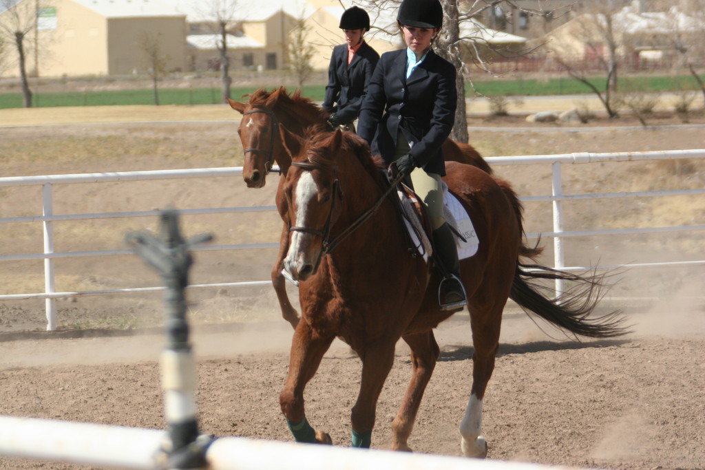 alex/nmsu_d1_flat////nmsu_flat_d1_0082.jpg
