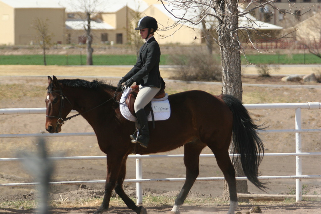 alex/nmsu_d1_flat/nmsu_flat_d1_0107.jpg