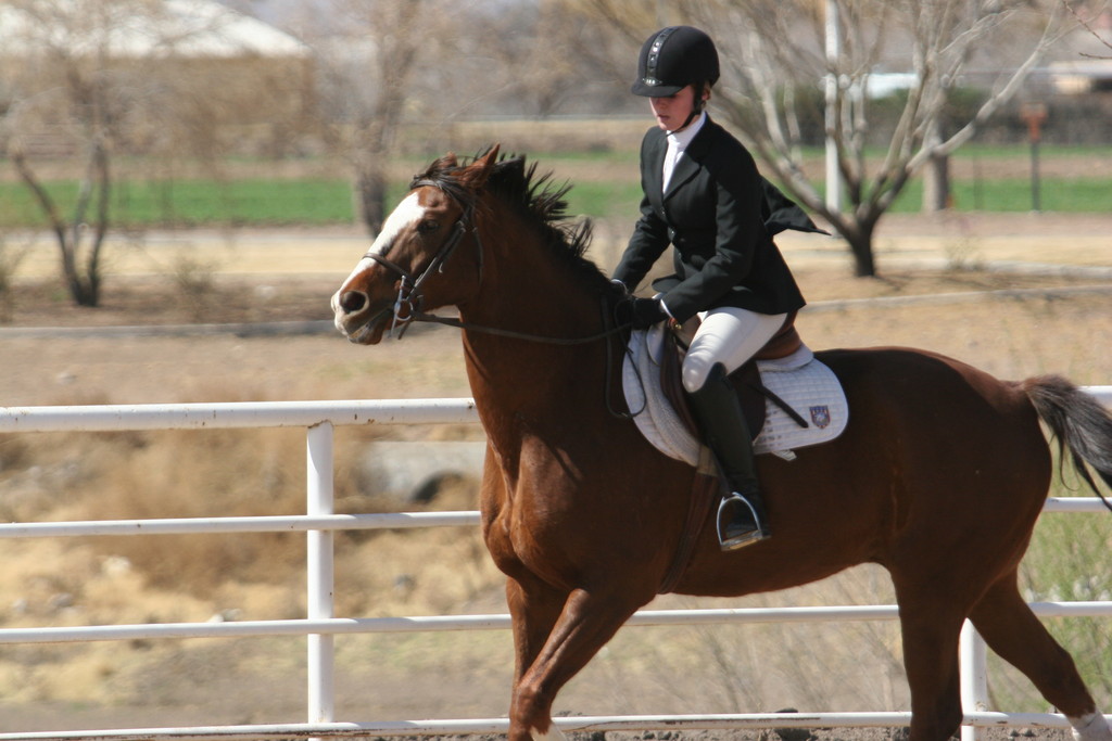 alex/nmsu_d1_flat/nmsu_flat_d1_0141.jpg