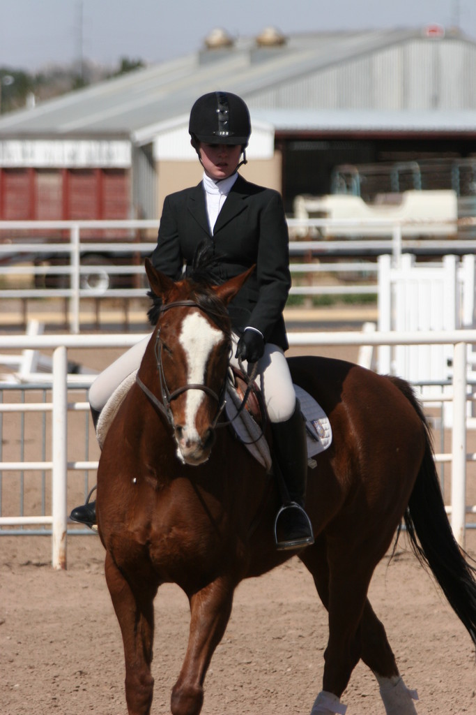 alex/nmsu_d1_flat/nmsu_flat_d1_0154.jpg