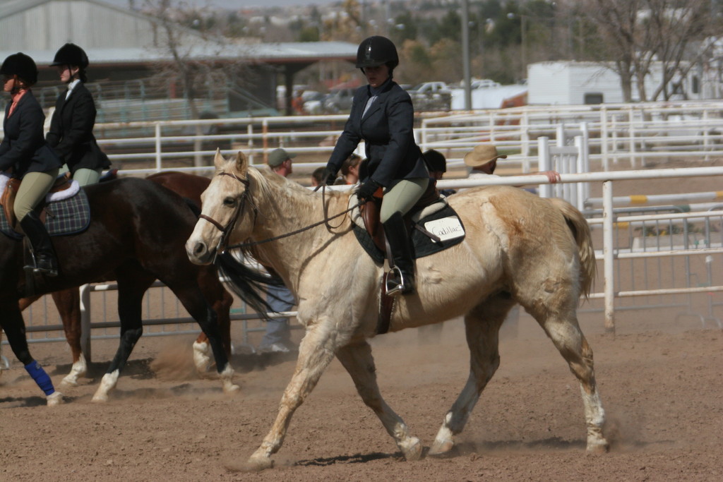 alex/nmsu_d1_flat/nmsu_flat_d1_0165.jpg