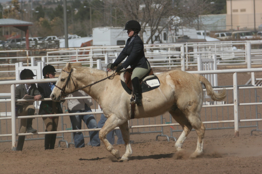 alex/nmsu_d1_flat/nmsu_flat_d1_0167.jpg