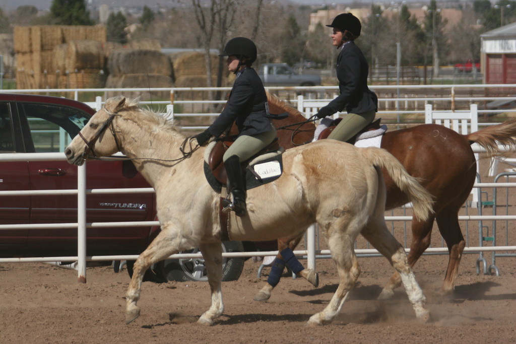 alex/nmsu_d1_flat/nmsu_flat_d1_0173.jpg