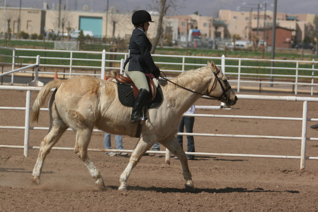 alex/nmsu_d1_flat/nmsu_flat_d1_0175.jpg