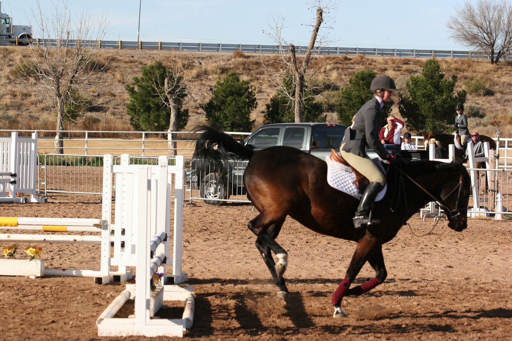 alex/nmsu_d2_fence/nmsu_fence_d2_0006.jpg