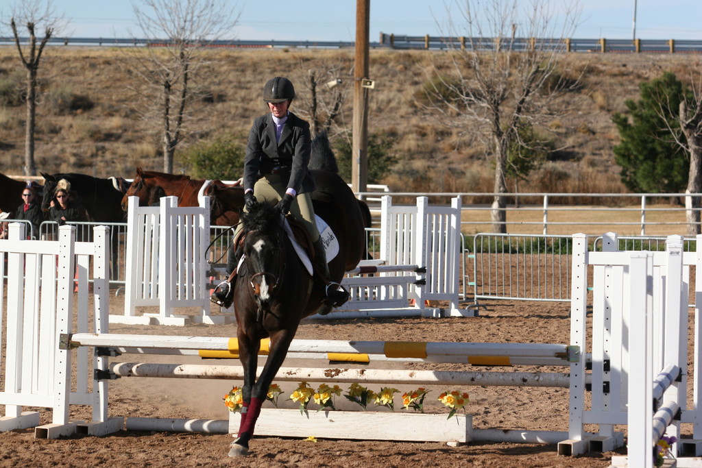 alex/nmsu_d2_fence/nmsu_fence_d2_0011.jpg