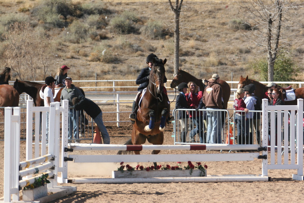 alex/nmsu_d2_fence/nmsu_fence_d2_0029.jpg