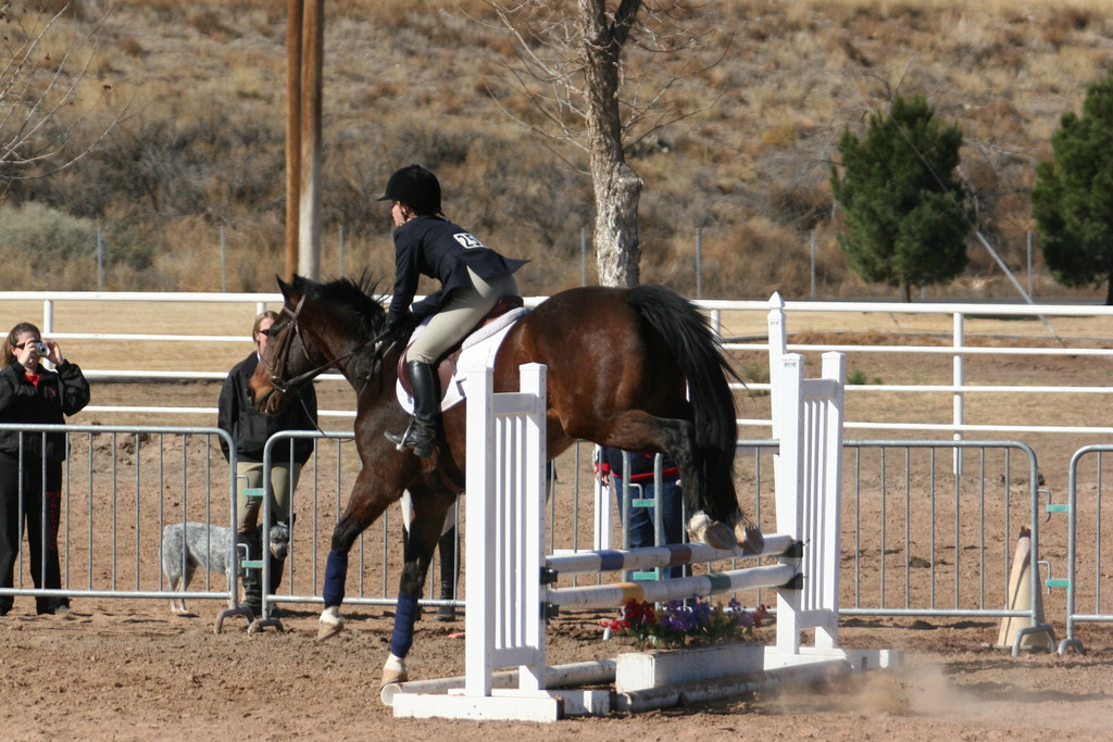 alex/nmsu_d2_fence/nmsu_fence_d2_0034.jpg