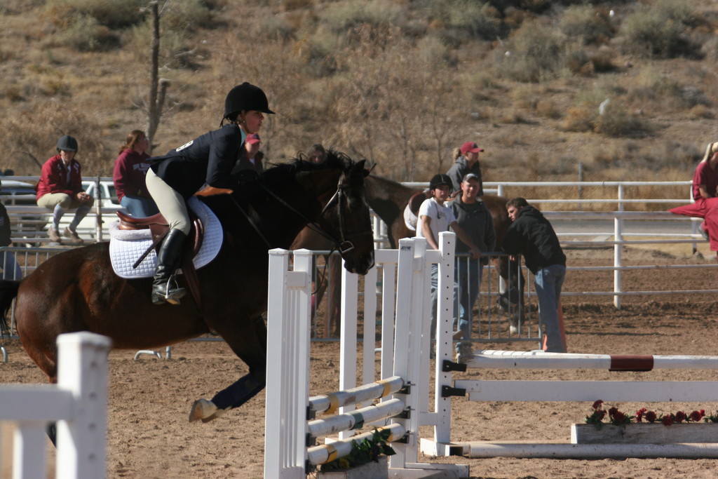 alex/nmsu_d2_fence/nmsu_fence_d2_0036.jpg