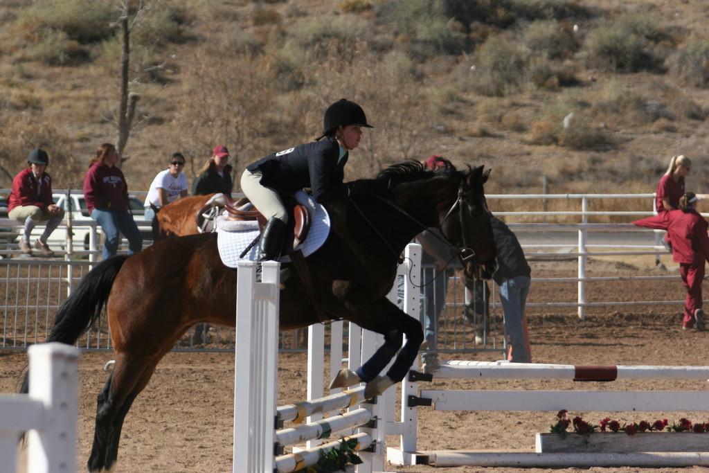 alex/nmsu_d2_fence/nmsu_fence_d2_0037.jpg