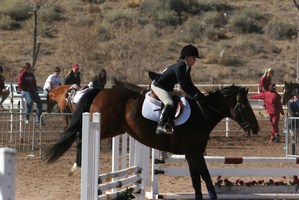 alex/nmsu_d2_fence/nmsu_fence_d2_0038.jpg