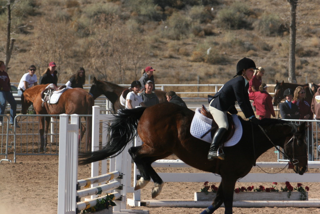 alex/nmsu_d2_fence/nmsu_fence_d2_0039.jpg