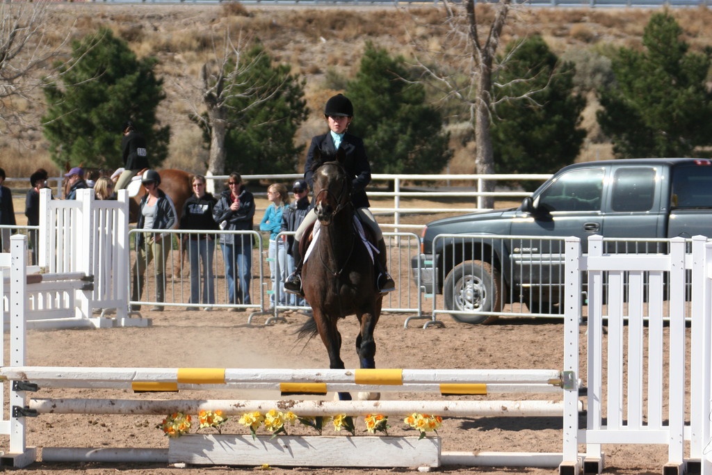 alex/nmsu_d2_fence/nmsu_fence_d2_0040.jpg