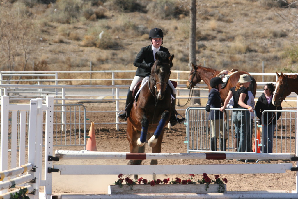 alex/nmsu_d2_fence/nmsu_fence_d2_0064.jpg