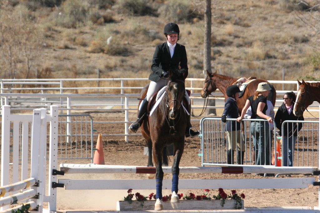 alex/nmsu_d2_fence/nmsu_fence_d2_0065.jpg