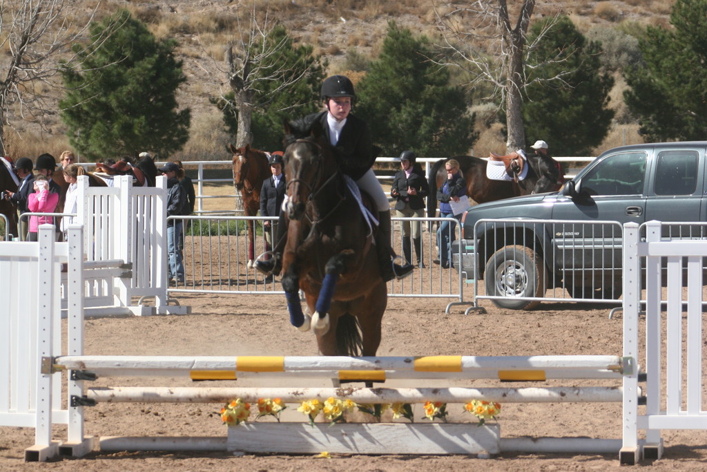alex/nmsu_d2_fence/nmsu_fence_d2_0074.jpg