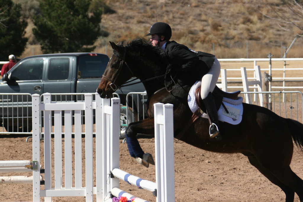 alex/nmsu_d2_fence/nmsu_fence_d2_0078.jpg