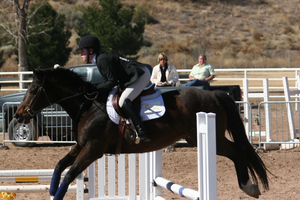 alex/nmsu_d2_fence/nmsu_fence_d2_0079.jpg