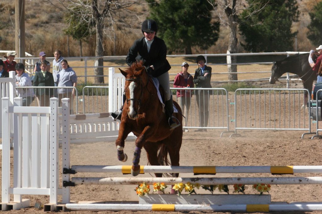 alex/nmsu_d2_fence/nmsu_fence_d2_0091.jpg
