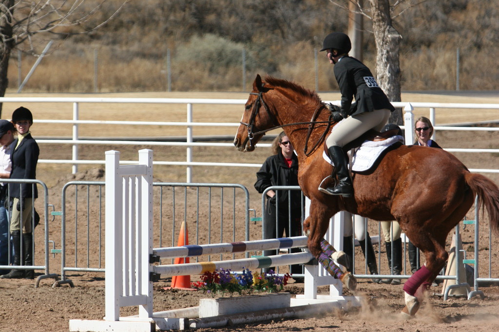 alex/nmsu_d2_fence/nmsu_fence_d2_0094.jpg