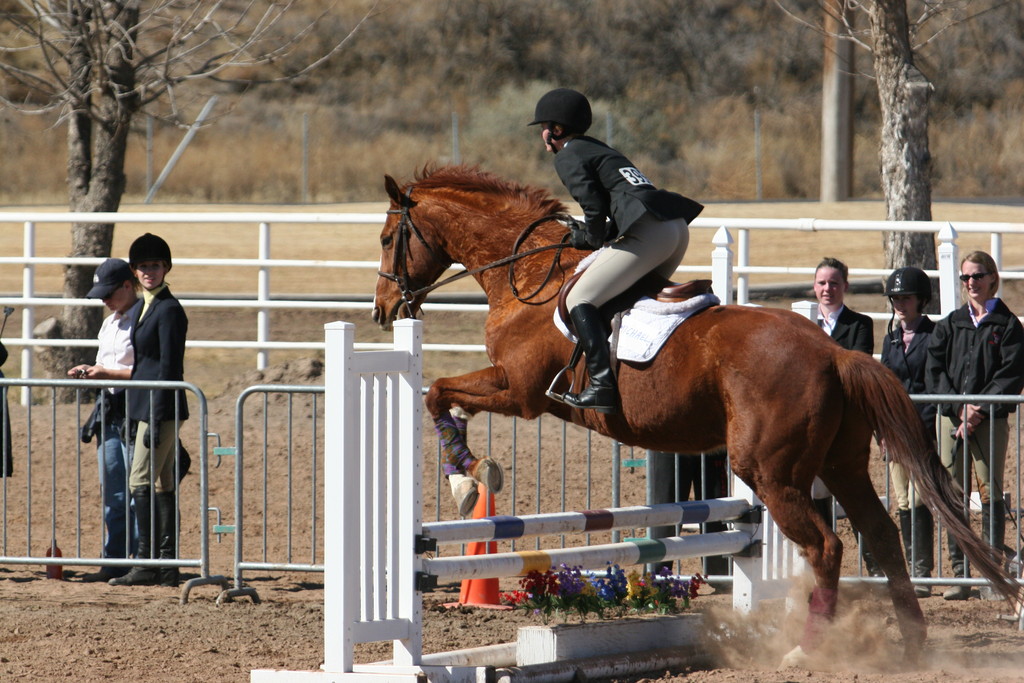alex/nmsu_d2_fence/nmsu_fence_d2_0095.jpg