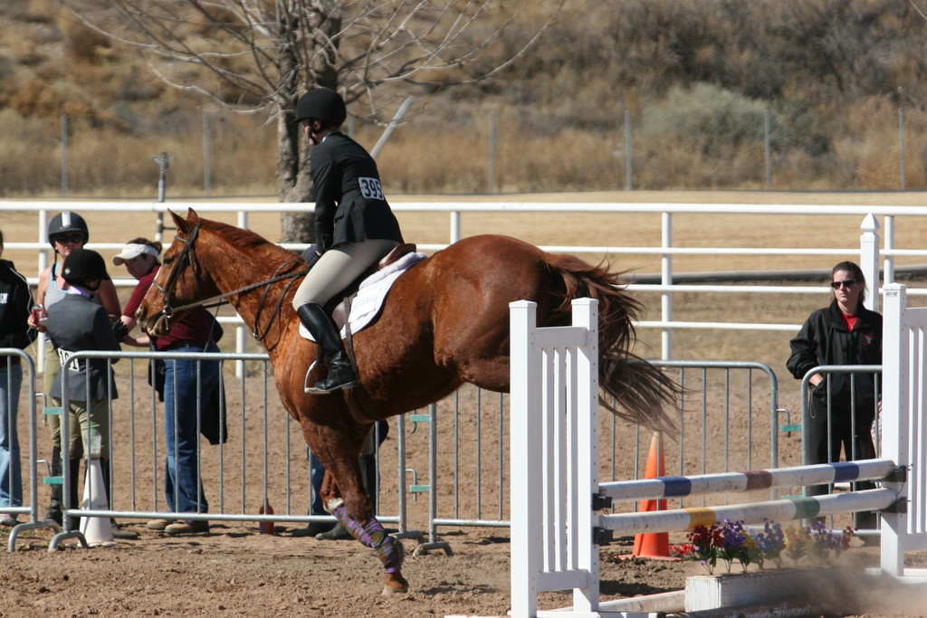 alex/nmsu_d2_fence/nmsu_fence_d2_0097.jpg