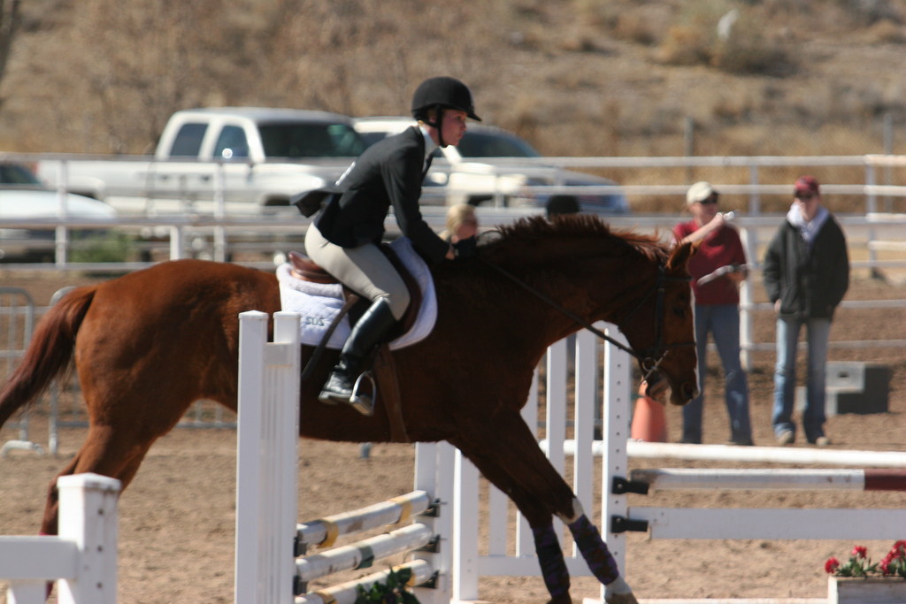 alex/nmsu_d2_fence/nmsu_fence_d2_0098.jpg
