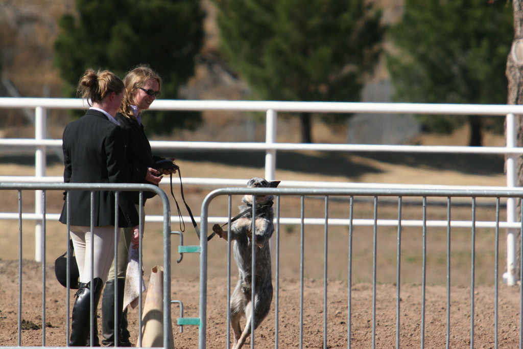 alex/nmsu_d2_fence/nmsu_fence_d2_0107.jpg