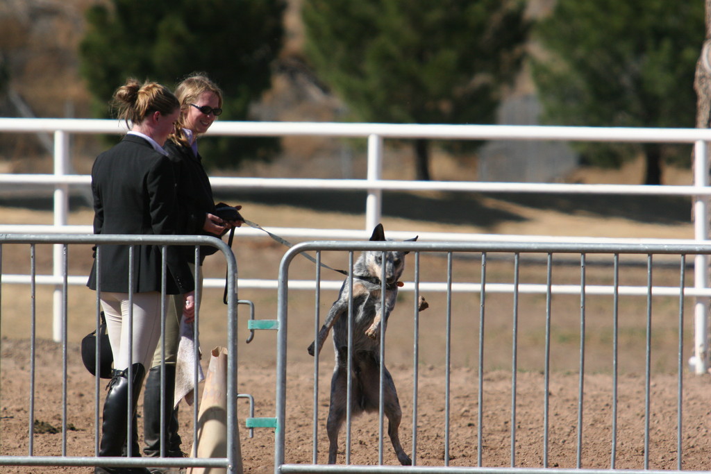 alex/nmsu_d2_fence/nmsu_fence_d2_0108.jpg
