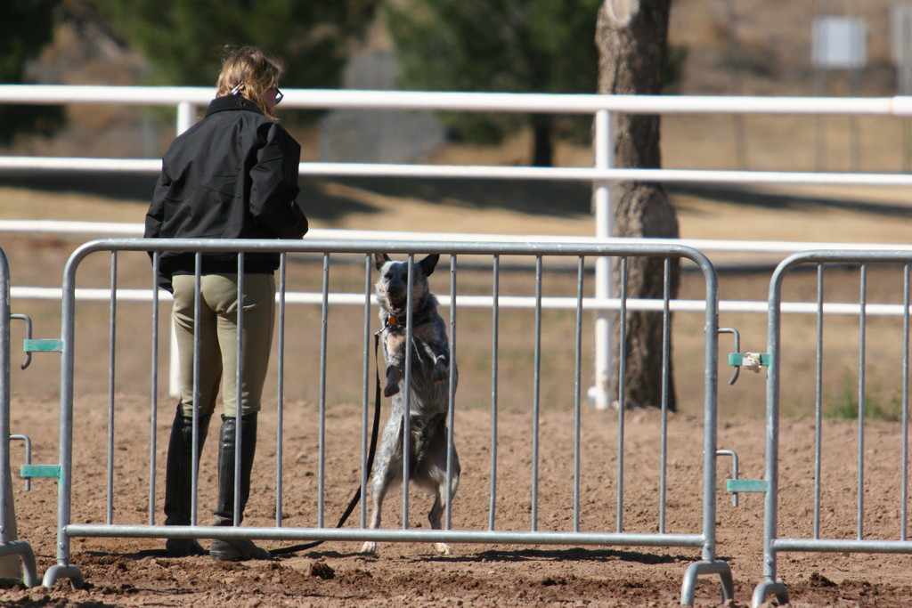 alex/nmsu_d2_fence/nmsu_fence_d2_0109.jpg