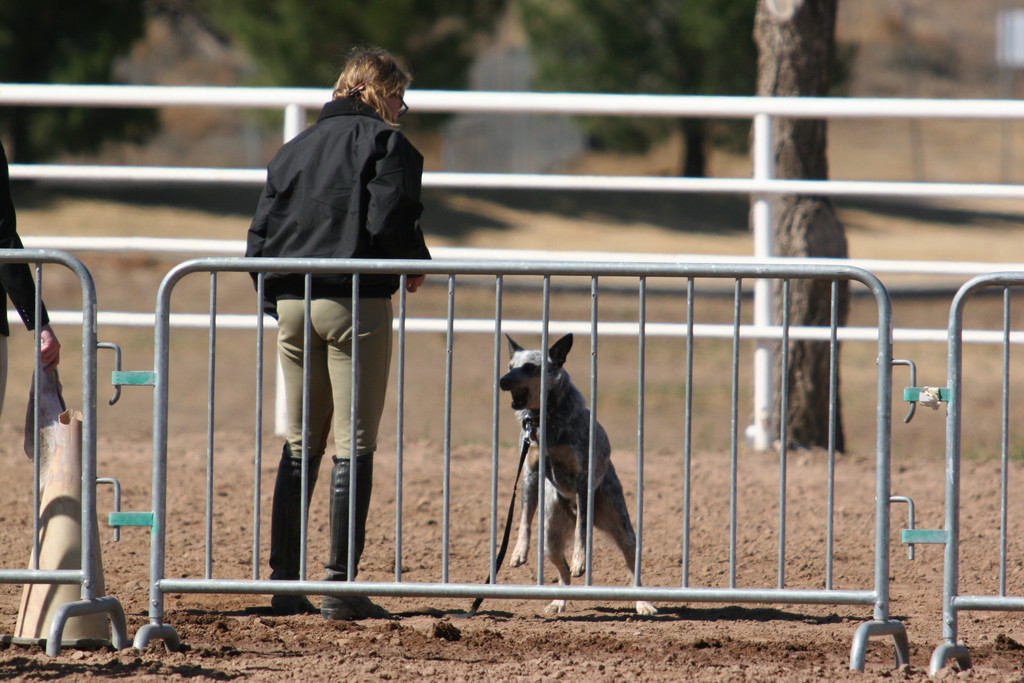alex/nmsu_d2_fence/nmsu_fence_d2_0110.jpg