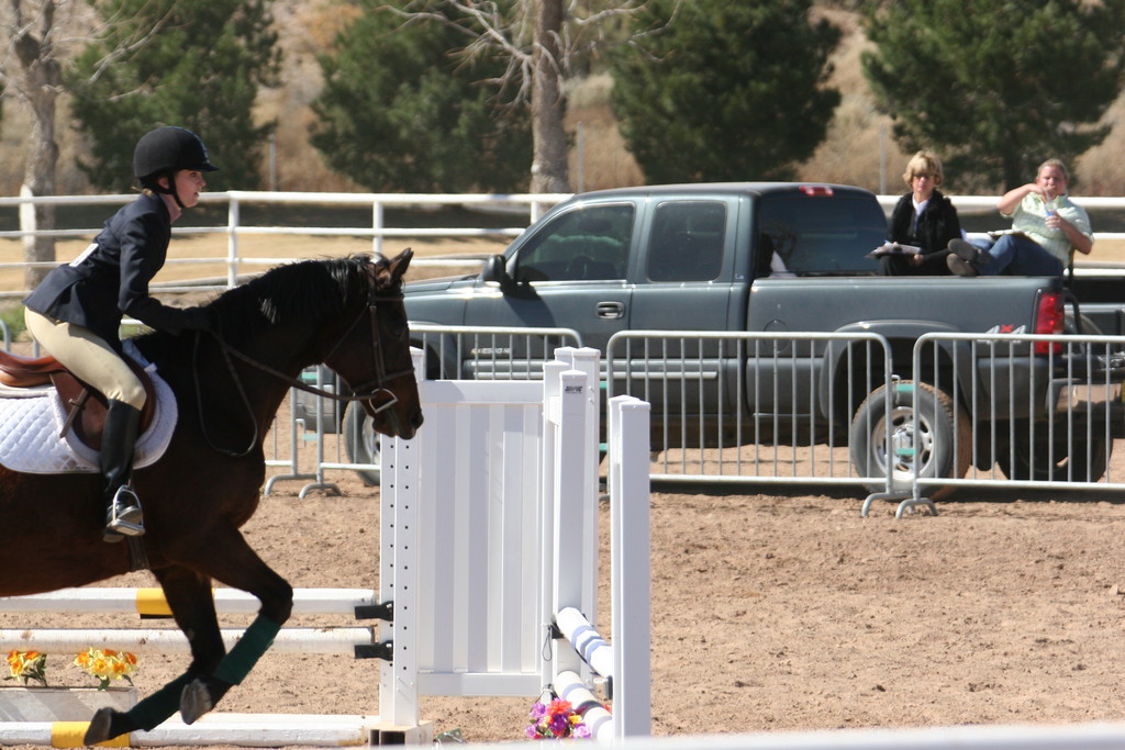 alex/nmsu_d2_fence/nmsu_fence_d2_0113.jpg