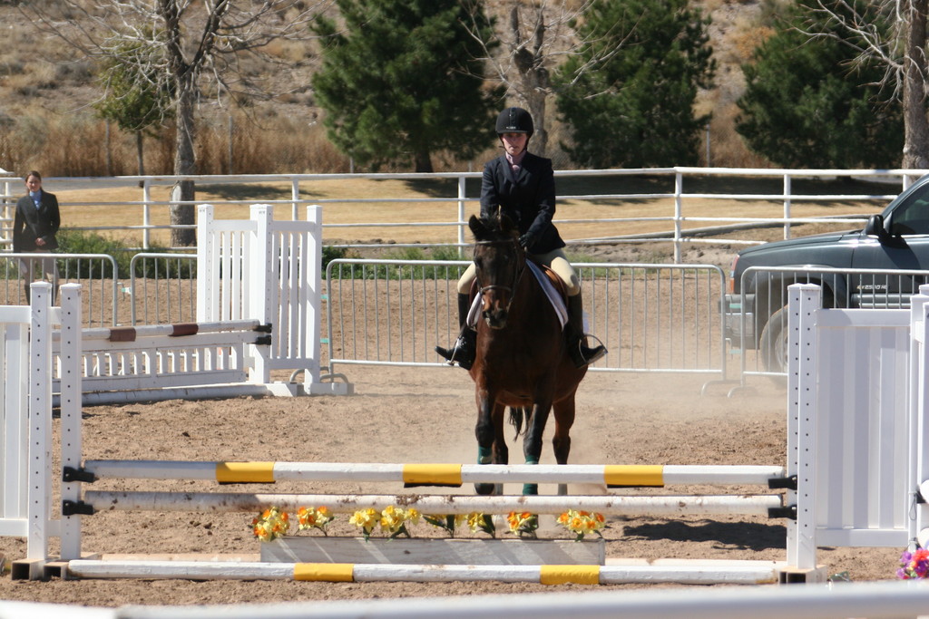 alex/nmsu_d2_fence/nmsu_fence_d2_0117.jpg