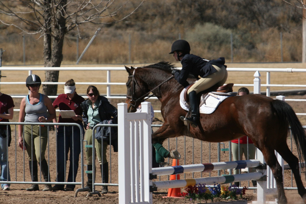 alex/nmsu_d2_fence/nmsu_fence_d2_0124.jpg