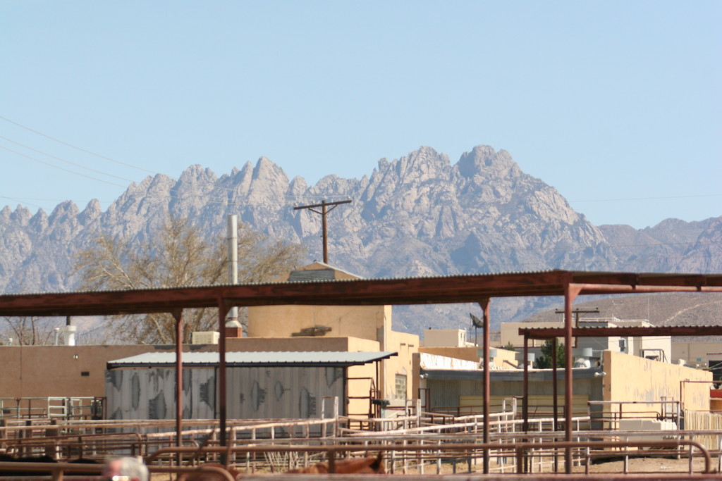 alex/nmsu_d2_fence/nmsu_fence_d2_0134.jpg