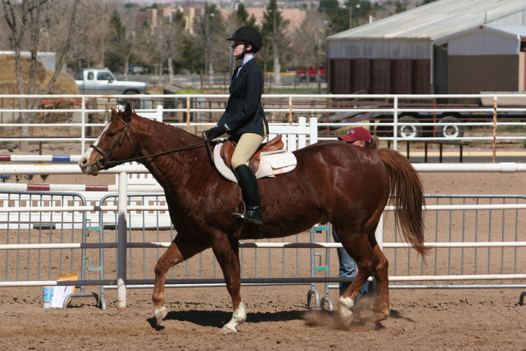 alex/nmsu_d2_flat/nmsu_flat_d2_0006.jpg