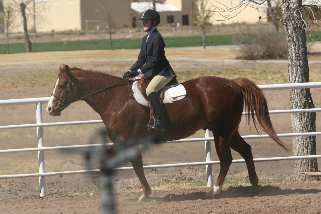 alex/nmsu_d2_flat/nmsu_flat_d2_0008.jpg
