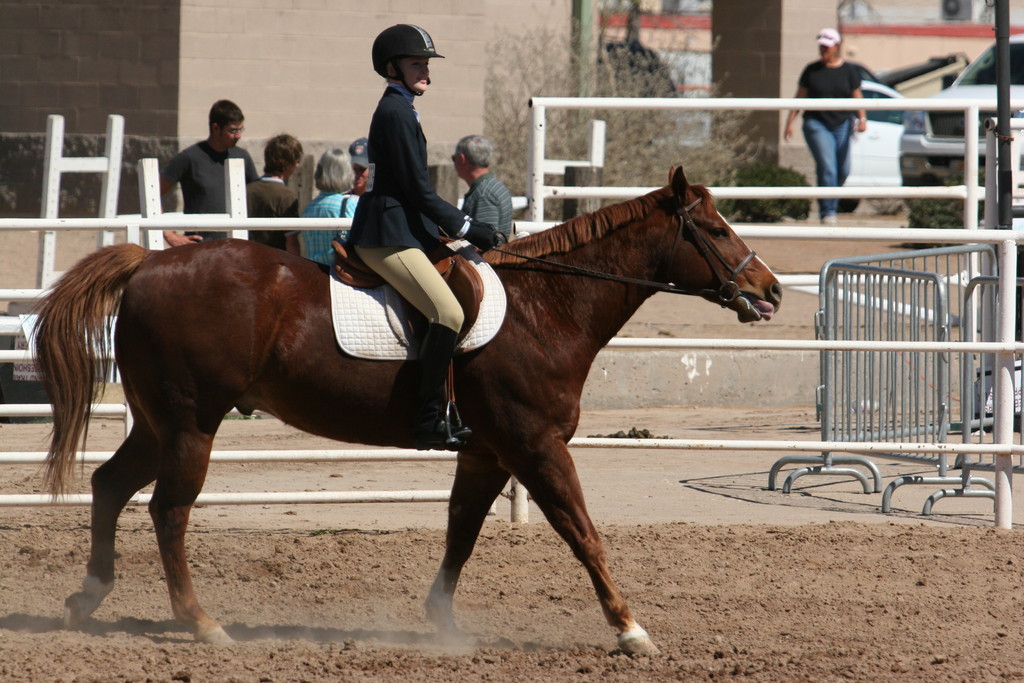 alex/nmsu_d2_flat/nmsu_flat_d2_0015.jpg