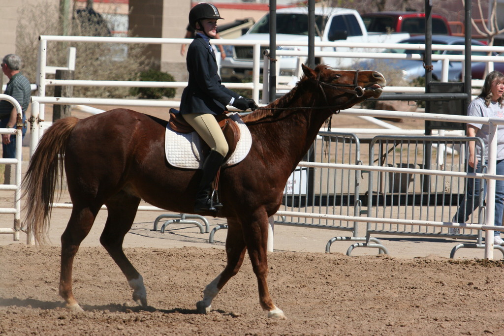 alex/nmsu_d2_flat/nmsu_flat_d2_0016.jpg
