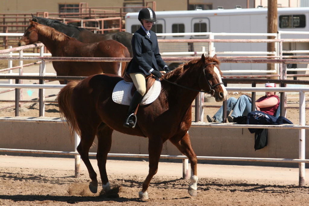 alex/nmsu_d2_flat/nmsu_flat_d2_0020.jpg