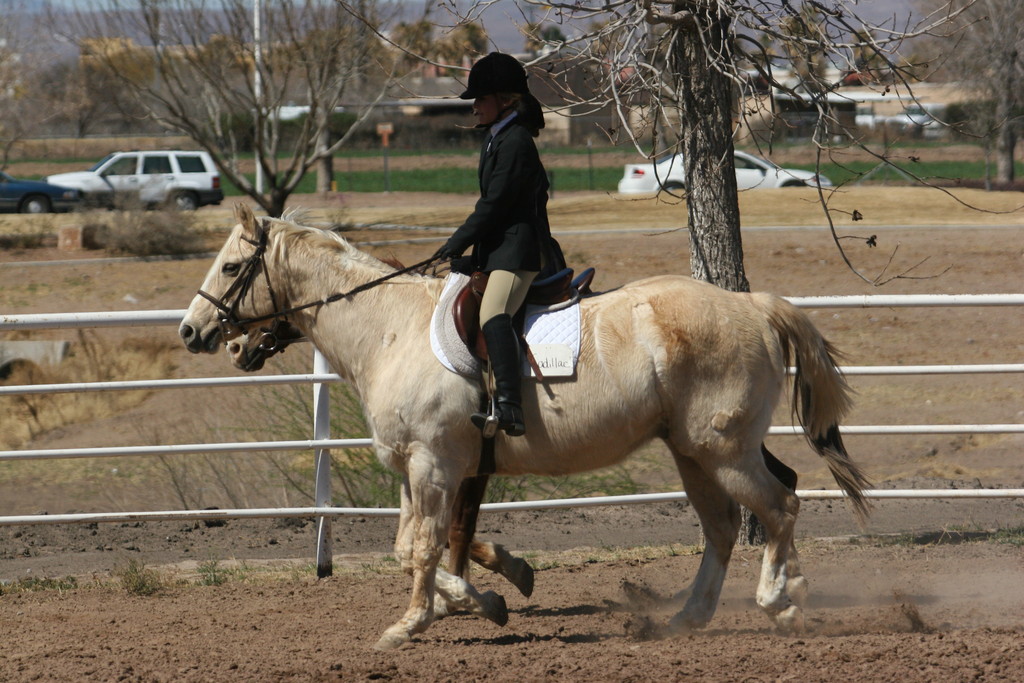alex/nmsu_d2_flat/nmsu_flat_d2_0036.jpg