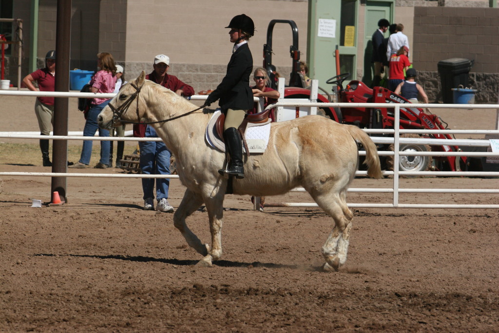 alex/nmsu_d2_flat/nmsu_flat_d2_0040.jpg