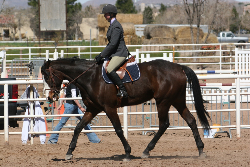 alex/nmsu_d2_flat/nmsu_flat_d2_0078.jpg