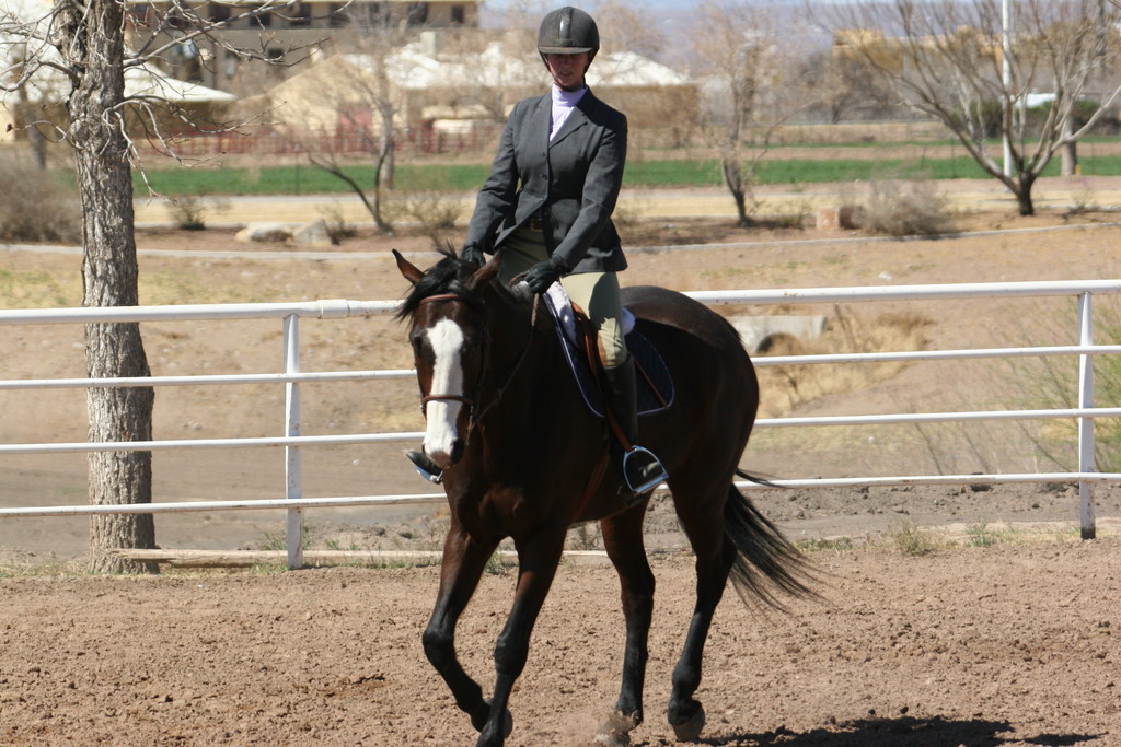 alex/nmsu_d2_flat/nmsu_flat_d2_0079.jpg
