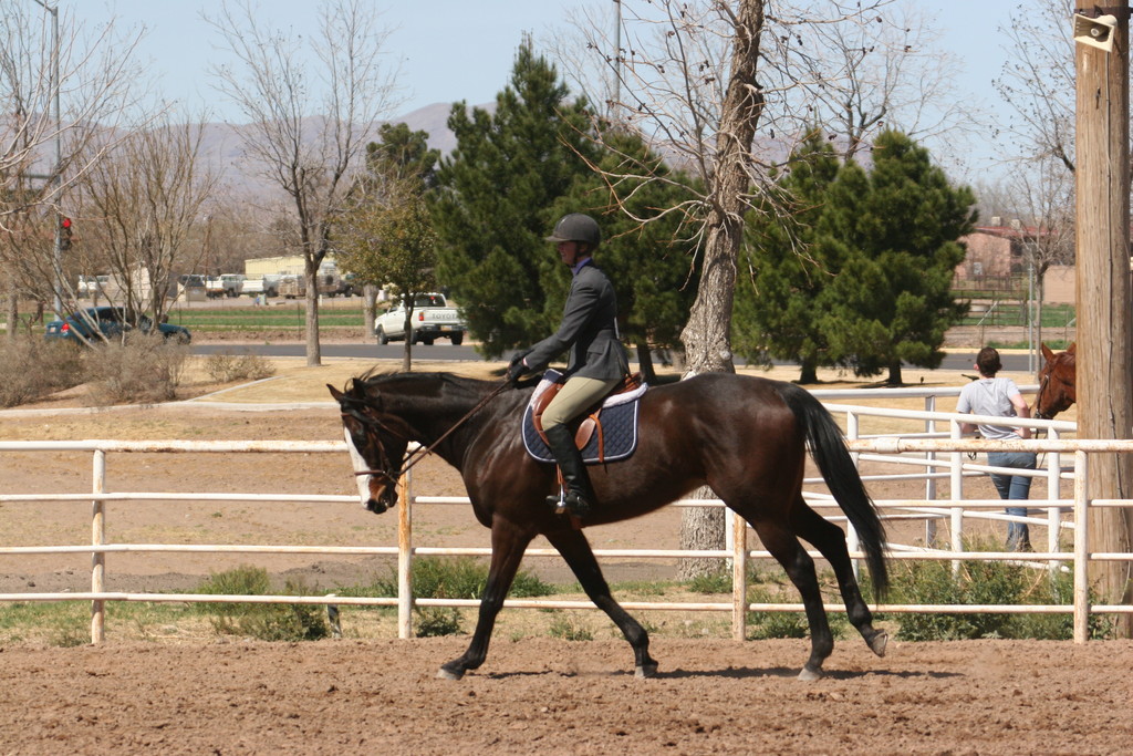 alex/nmsu_d2_flat/nmsu_flat_d2_0084.jpg